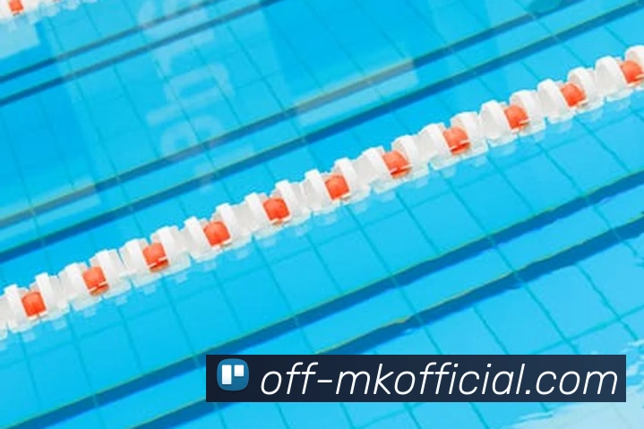 MK体育SPORTS平台生态图